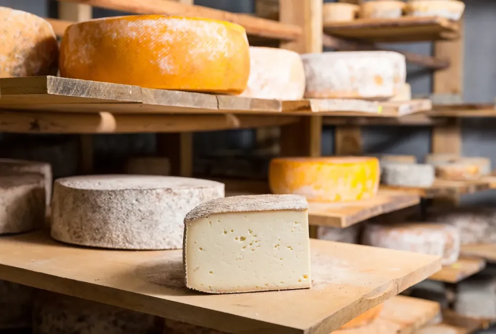 Fromagerie artisanale bio à VAISSAC